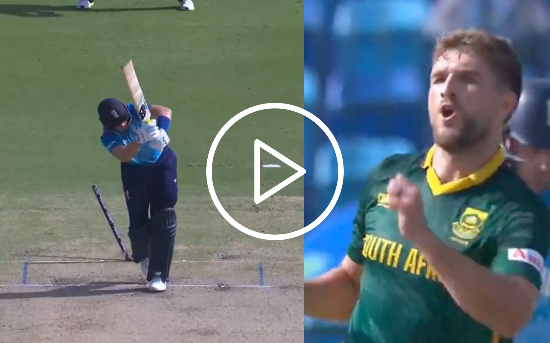 [Watch] Joe Root's Off-Stump Goes For A Toss As Mulder Rejoices After Getting The Big Fish